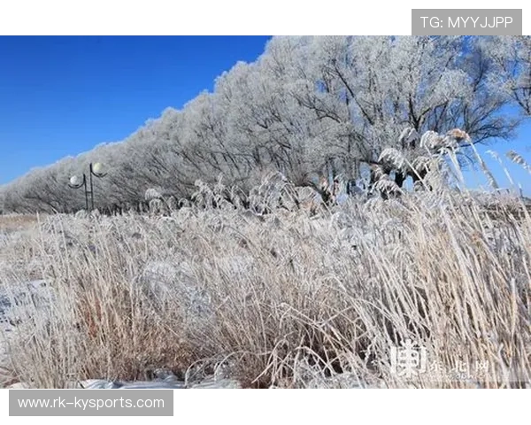 冰雪组织发布《残疾人冰雪项目普及路线图》 冰雪组织发布《残疾人冰雪项目普及路线图》